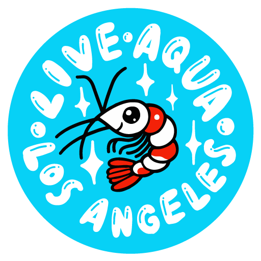 Live Aqua Los Angeles